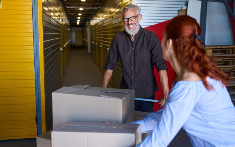 Guía sobre control de plagas en unidades de almacenamiento: evita daños y riesgos